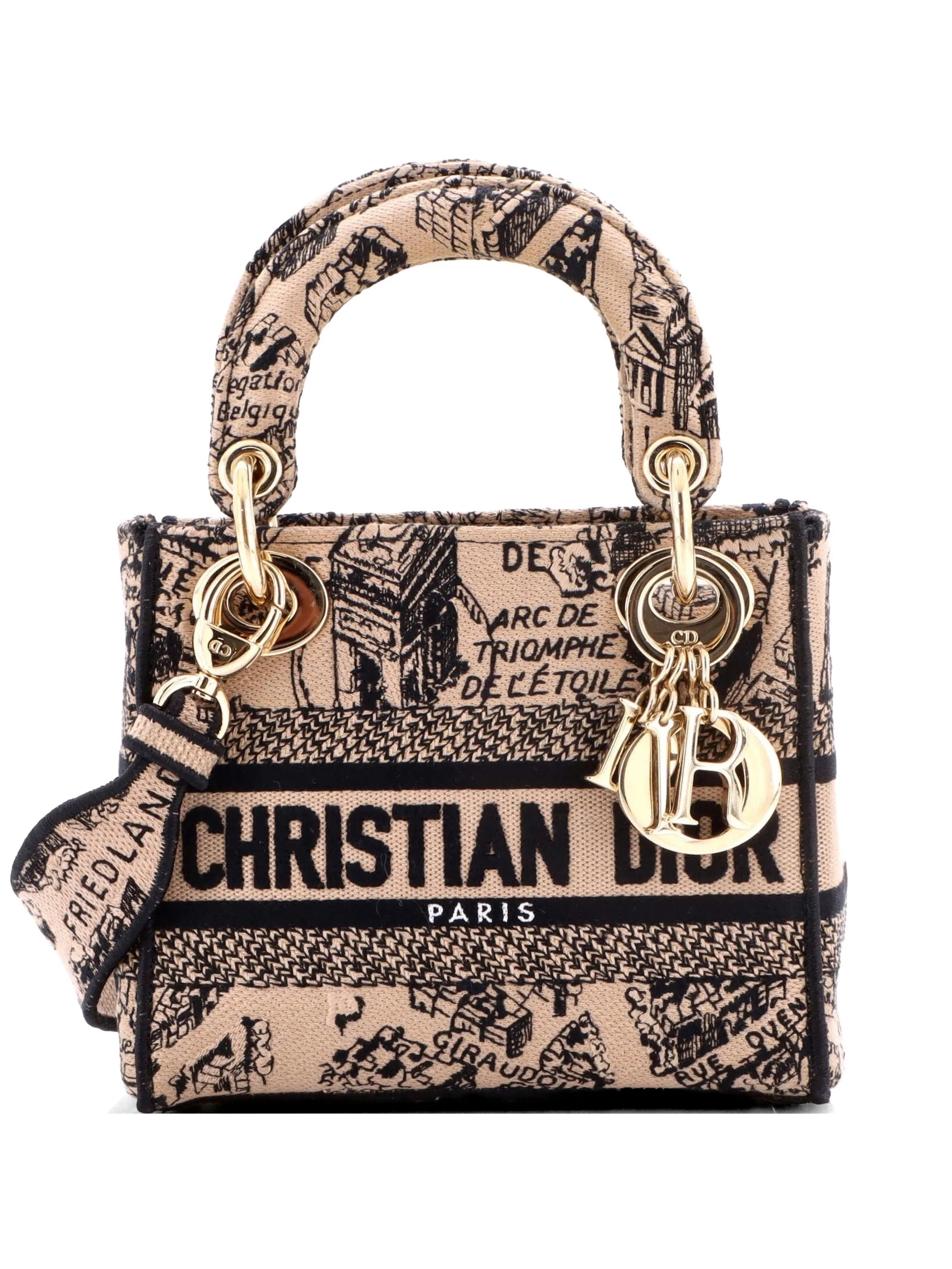 Christian Dior Lady D-Lite Bag Embroidered Canvas Mini