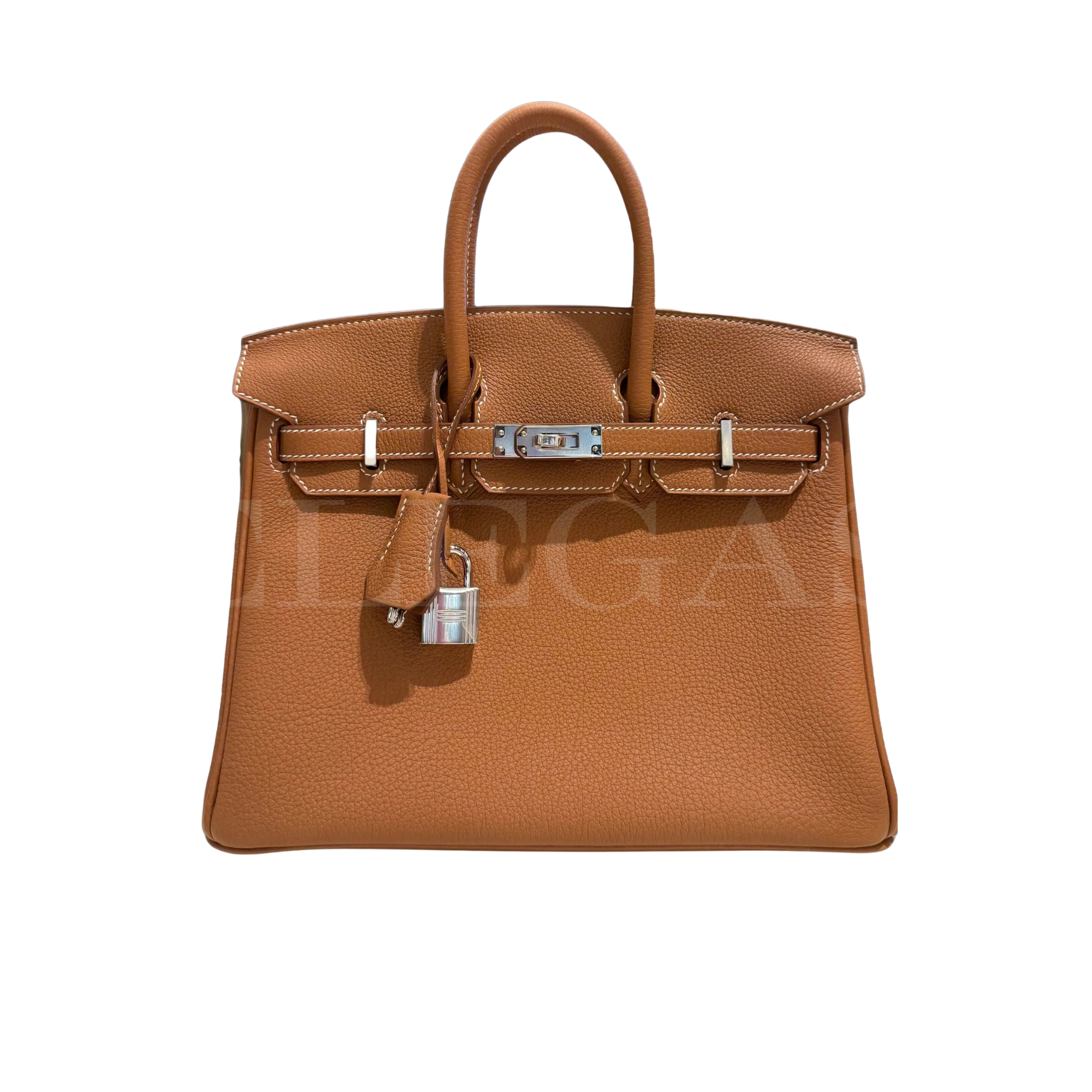 Hermès Birkin 25