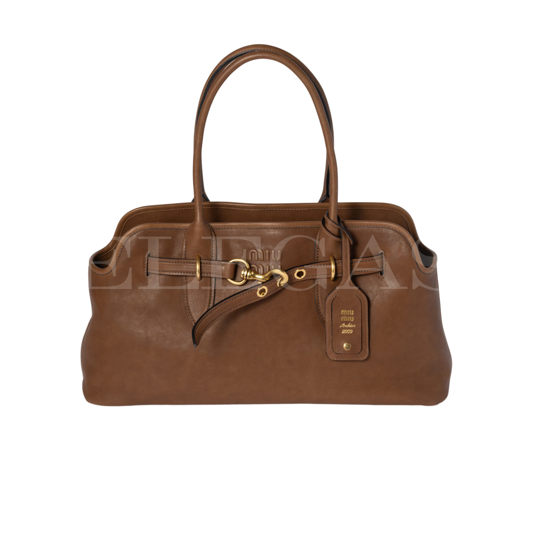Miu Miu Leather Bag