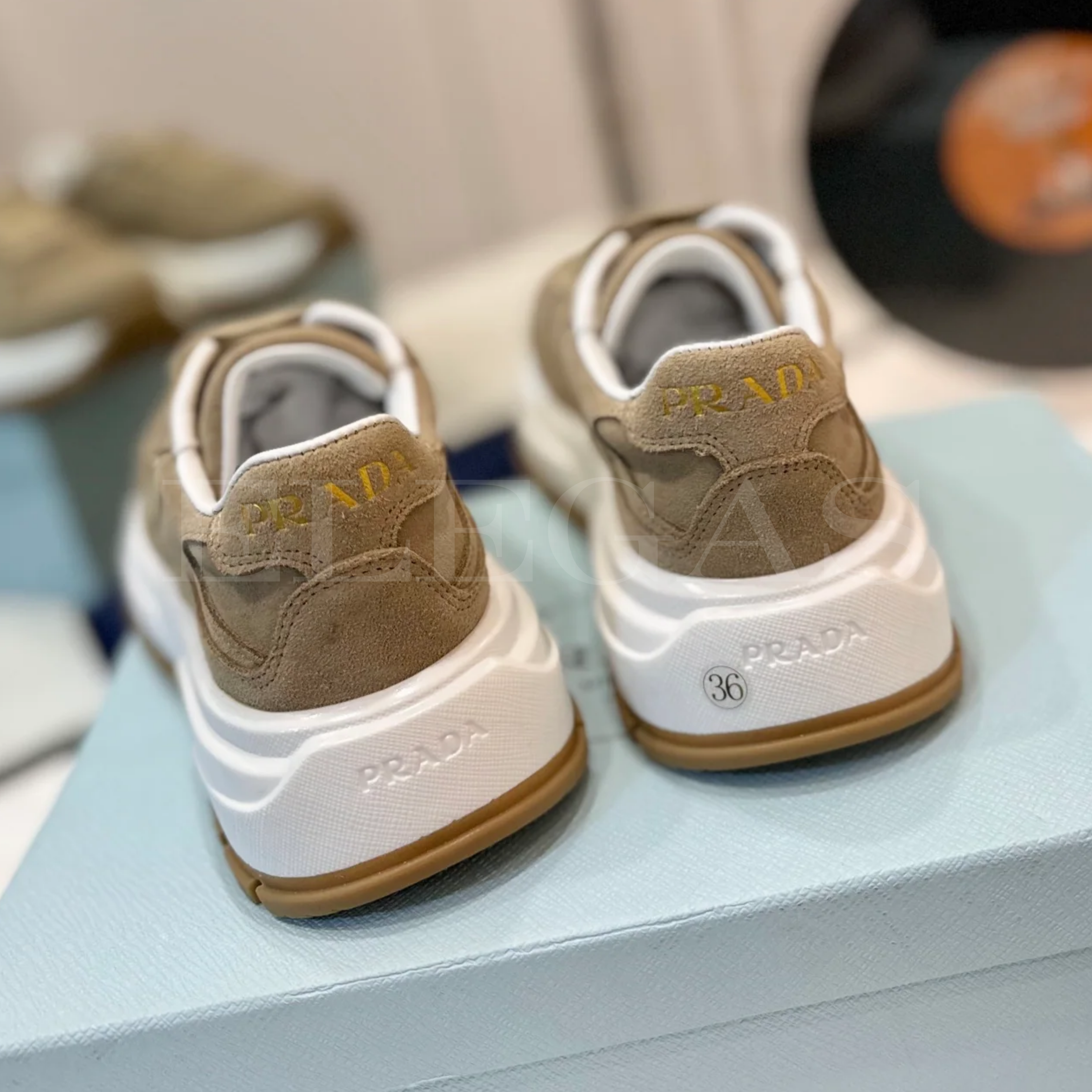 Prada Sneaker