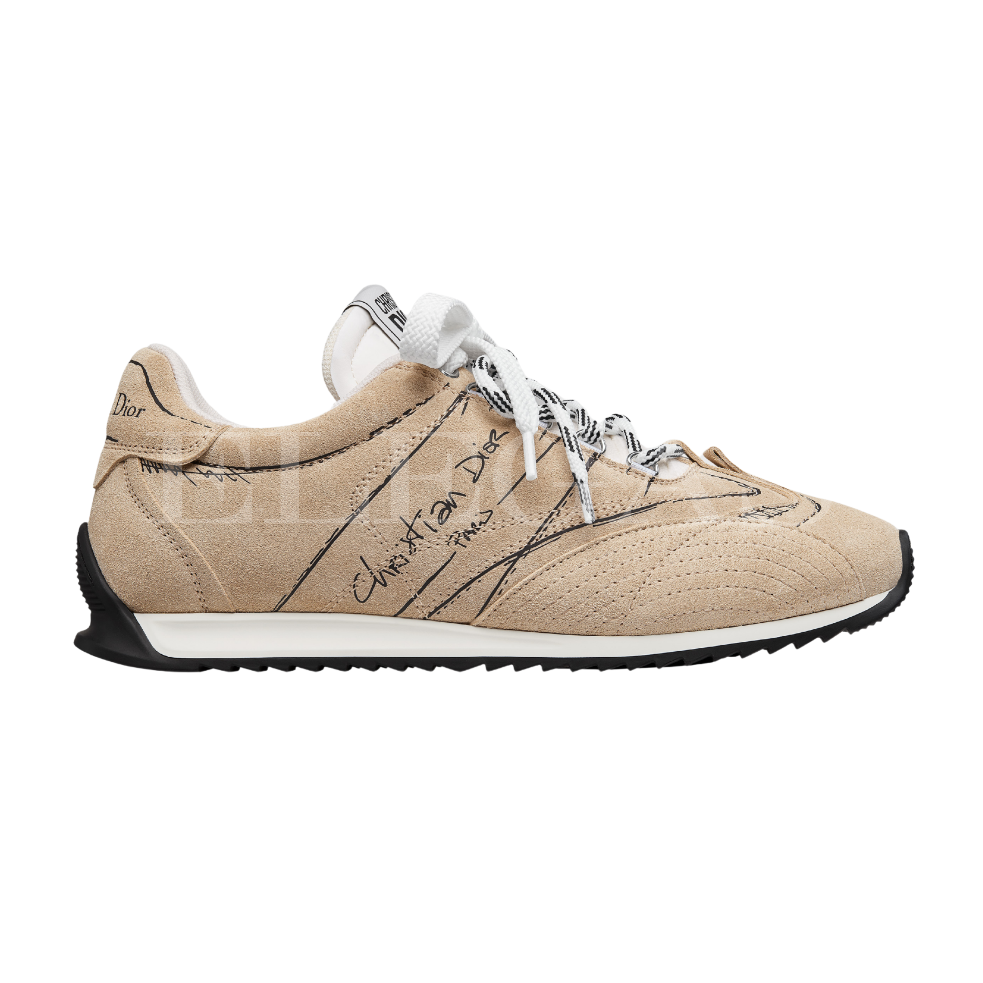 Dior Sneaker D-Sketch
